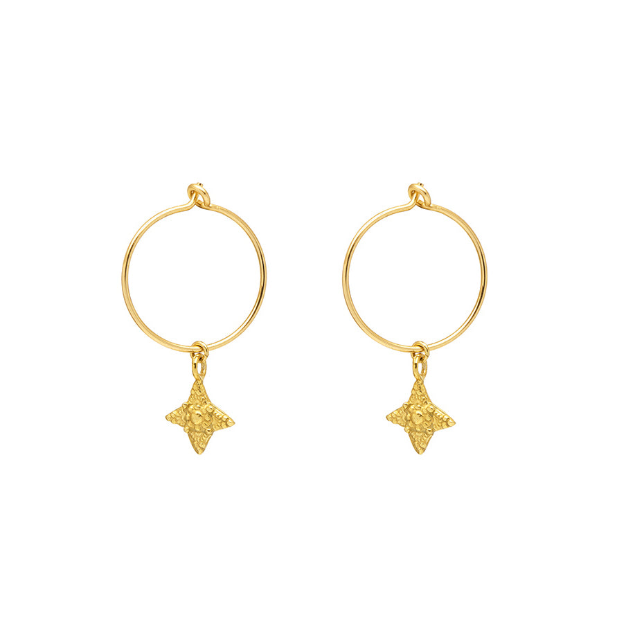 Lustre Hoops