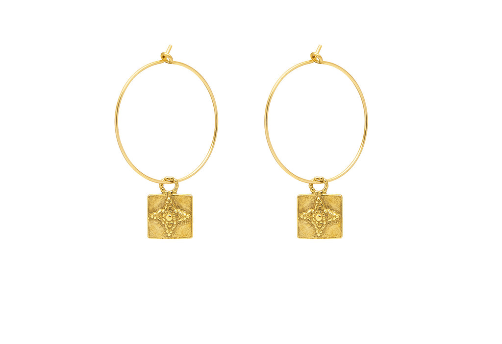 Solstice Hoops